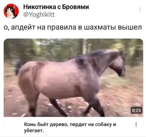 Апдейт правил в шахматы