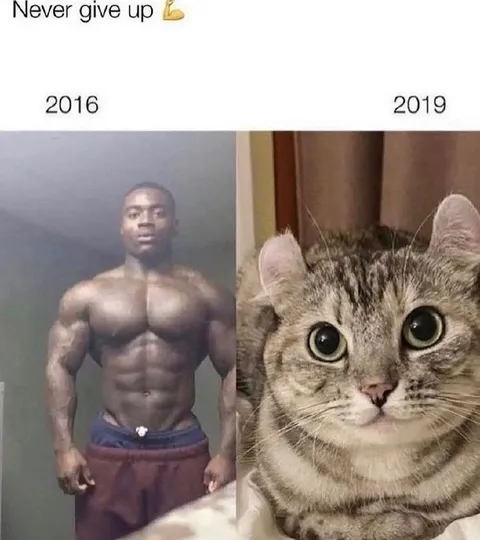 Never Give Up Transformation