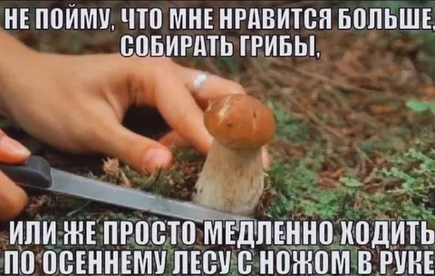 Медленная прогулка с ножом