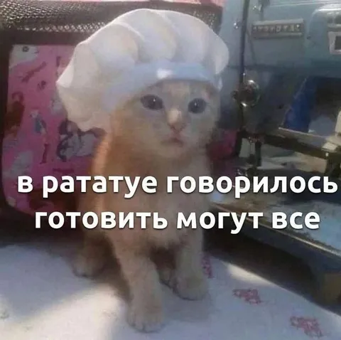 Кот-повар готовит всё