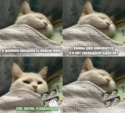 Кот придумывает новый мем