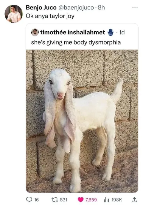 Goat Gives Body Dysmorphia
