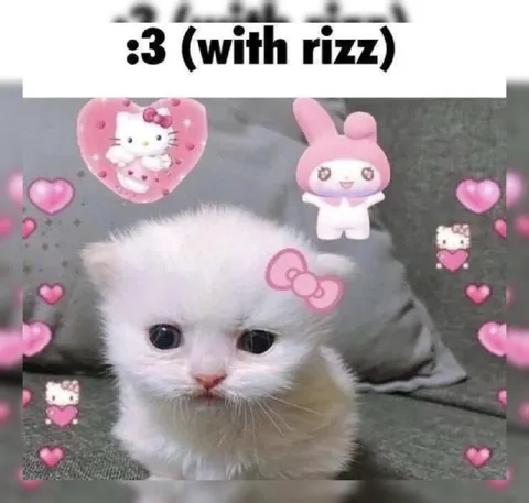 Cute Kitten With Rizz