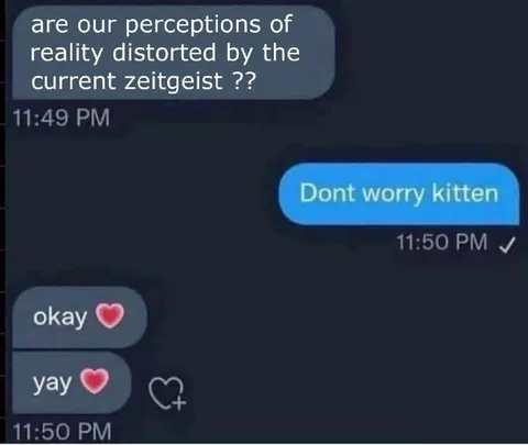 Don’t Worry Kitten