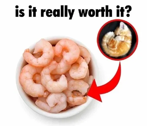 Is It Really Worth It?