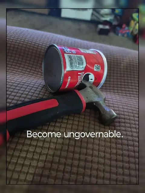 Become Ungovernable With Pringles