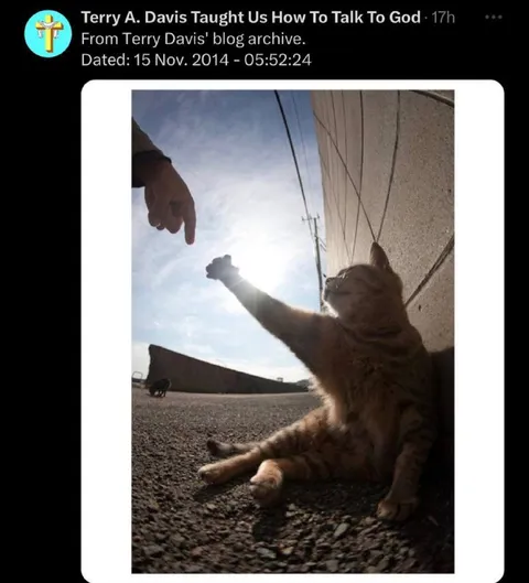 Cat Talks To God
