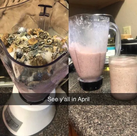 Mushroom Smoothie Until April