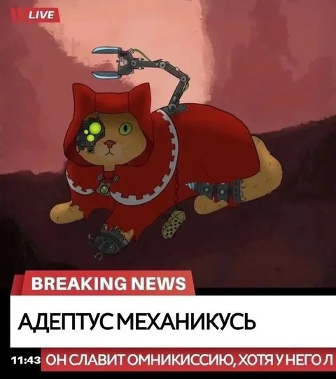 Адептус Механикус в прямом эфире