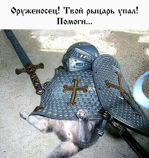 Рыцарь-хомяк просит помощи