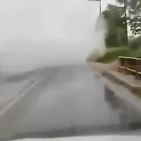 Дорога в белую мглу
