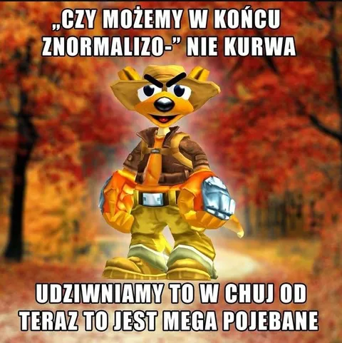 Nie możemy tego znormalizować