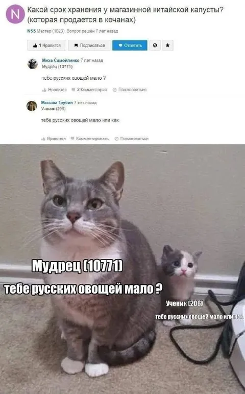 Тебе русских овощей мало?