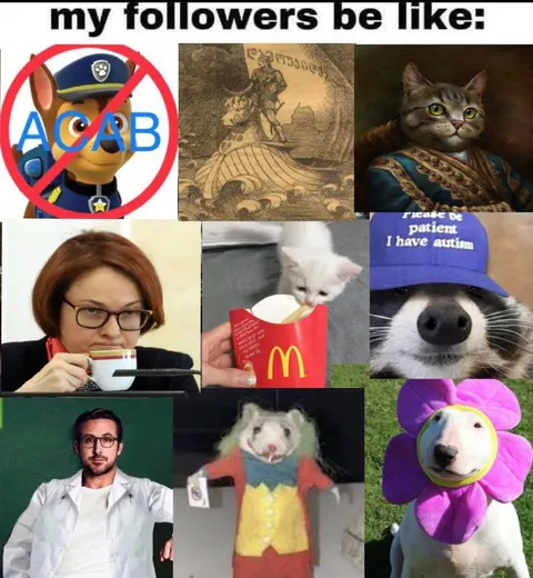 My Followers Be Like Collage