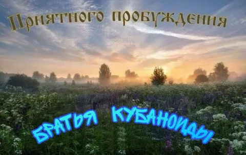Приятного пробуждения, братья кубаноиды