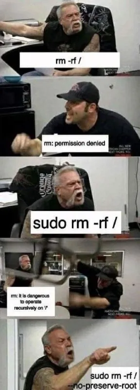 Sudo Deletes the Root Directory