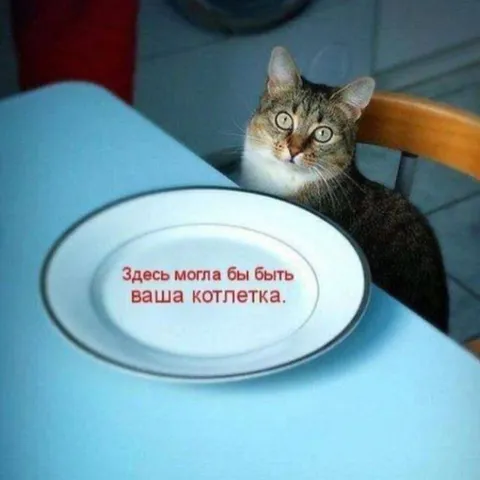 Здесь могла бы быть ваша котлетка