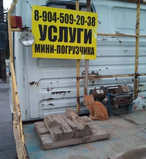 Услуги мини-погрузчика с котом