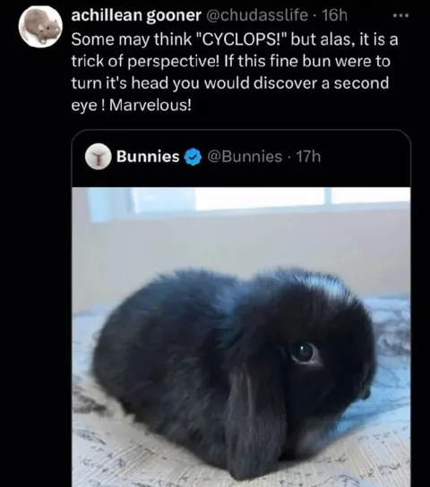Rabbit Mistaken for a Cyclops