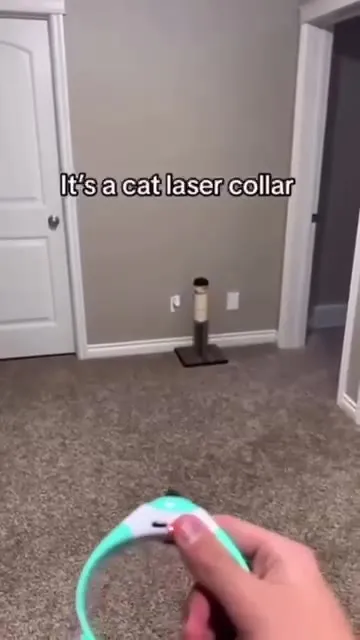 Cat Laser Collar Sisyphus
