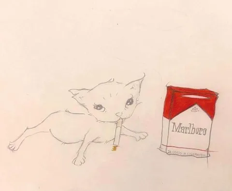 Kitten Smoking Marlboro