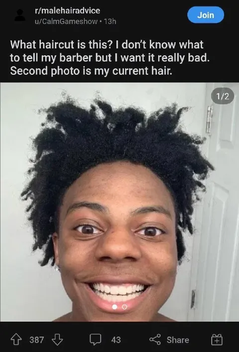 What Haircut Is This