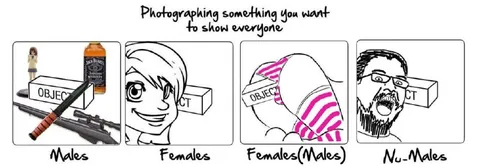 How Different People Photograph Objects