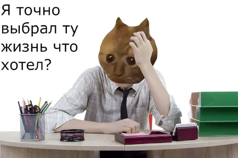Я точно выбрал ту жизнь