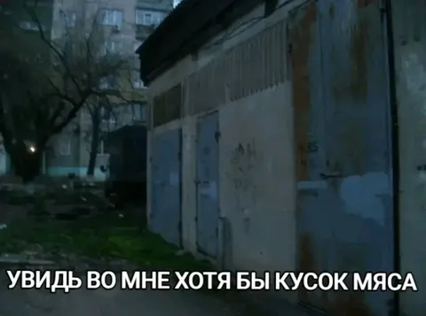 Увидь во мне кусок мяса