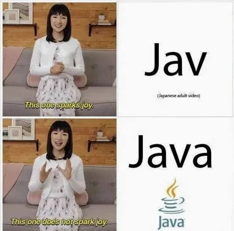 This One Sparks Joy Java Pun
