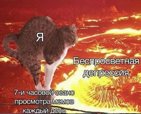 Седьмой час просмотра мемов