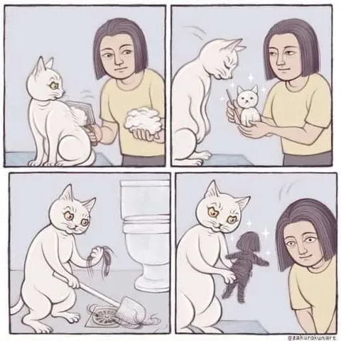 Кошка наводит порядок