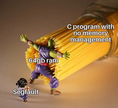 C Program Without Memory Management