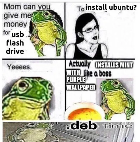 Actually Installs Mint