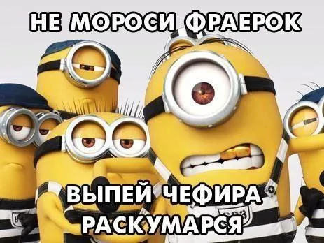 Миньоны пьют чефир