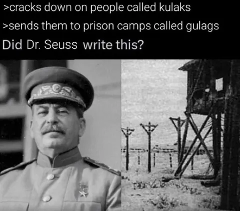 Did Dr. Seuss Write This?