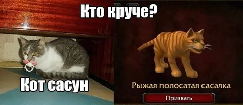 Кто круче: кот или сосалка