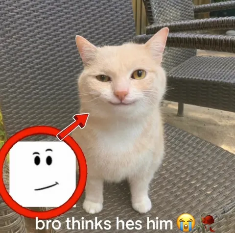 Bro Thinks He's Him
