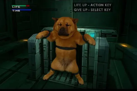 Dog Gives Up in Video Game
