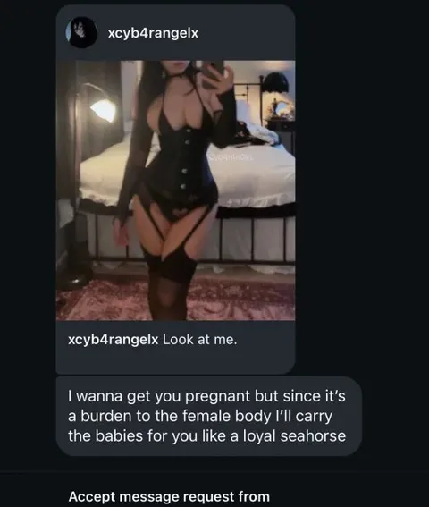 Loyal Seahorse Pregnancy Plan