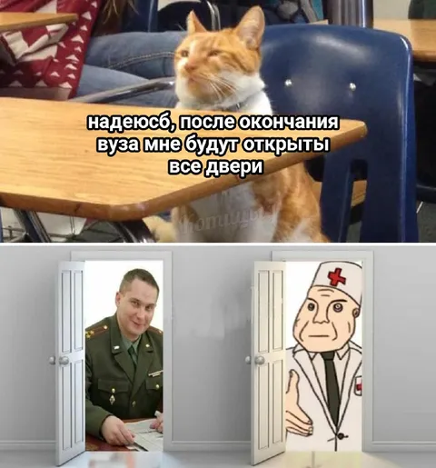 После вуза все двери открыты