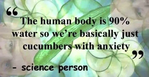 Cucumbers With Anxiety