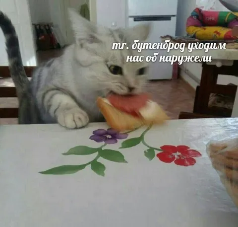 Кот ест цветок за столом