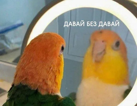 Давай без давай