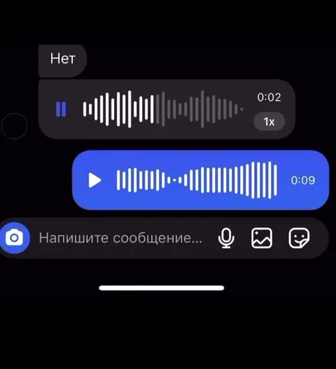 Нет, отправлю голосовое