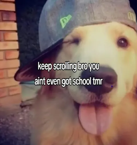Keep Scrolling Bro