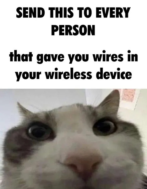 Send This to Every Person
