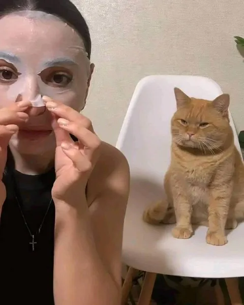Кот осуждает уход за лицом