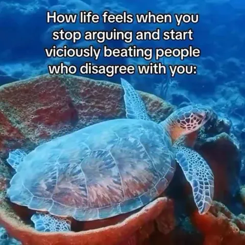 How Life Feels After Beating Disagreers