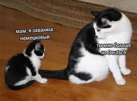 Провалила немецкий язык